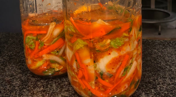 fermented food benefits - kimchi recipe