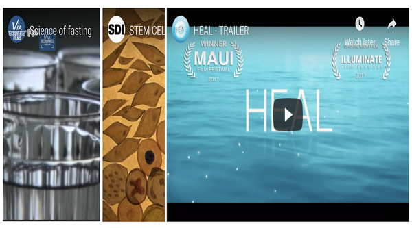 Must-See Healing Documentaries
