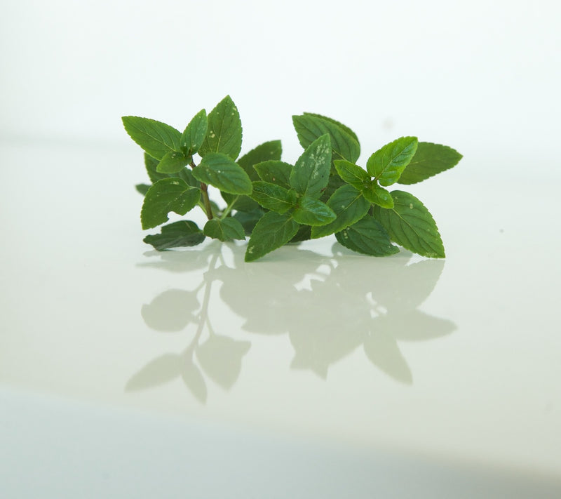 Nurturing Peppermint | Body & Face | Cold & Flu Relief with 10+ Ways to Use - Wet or Dry!